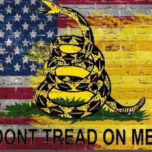 Meet your Posher, Shane